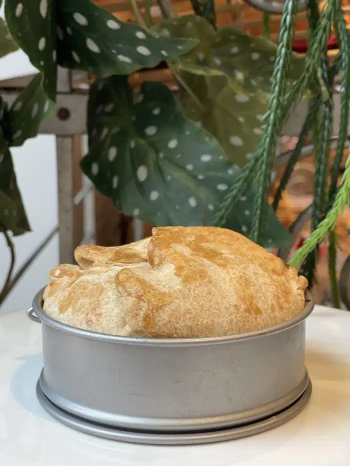 Homemade English beef pie