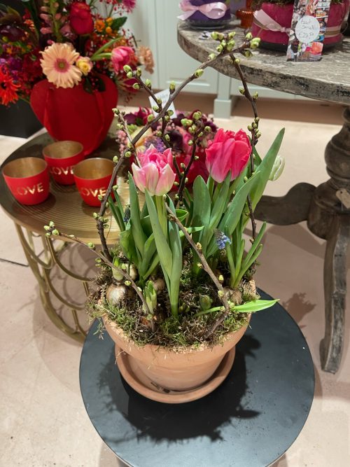 pot met tulpenbollen cadeau