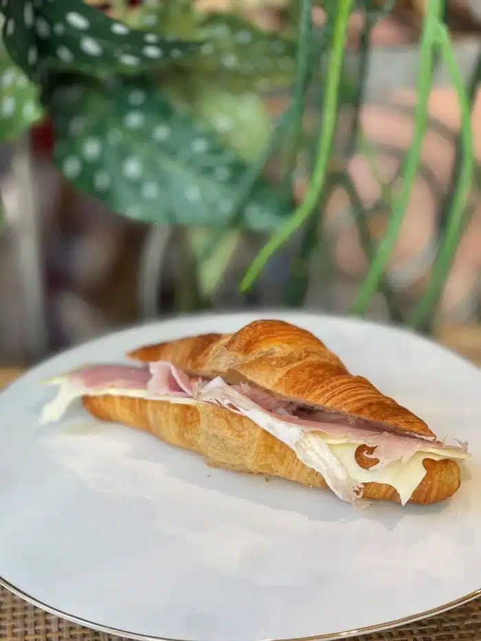 Huisgemaakte ham-kaascroissant