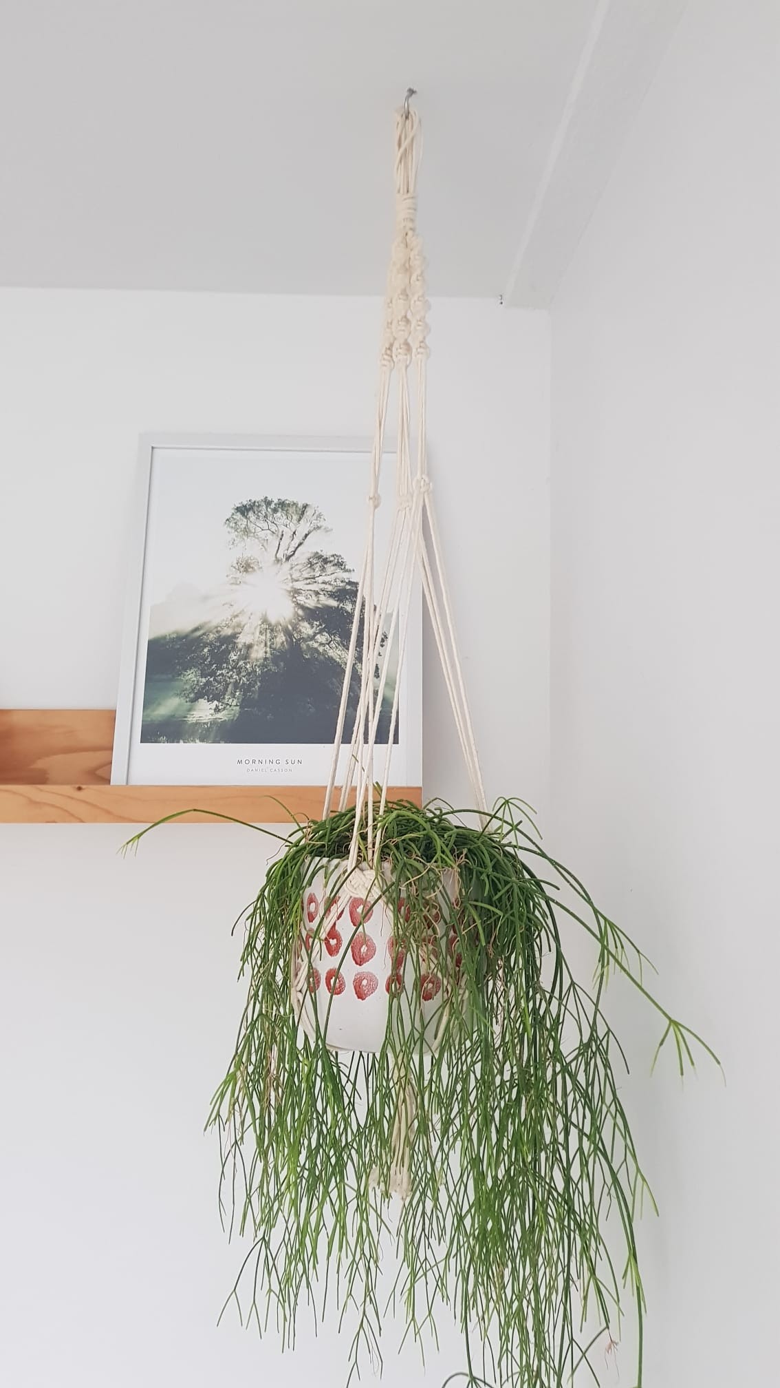 Macrame planthanger foto 2